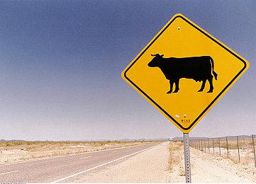 3DM速报： 黑神话悟空多则演示玩自黑 宝可梦传说阿尔宙斯新情报